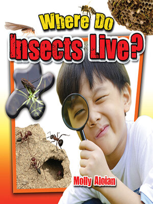cover image of Where Do Insects Live?